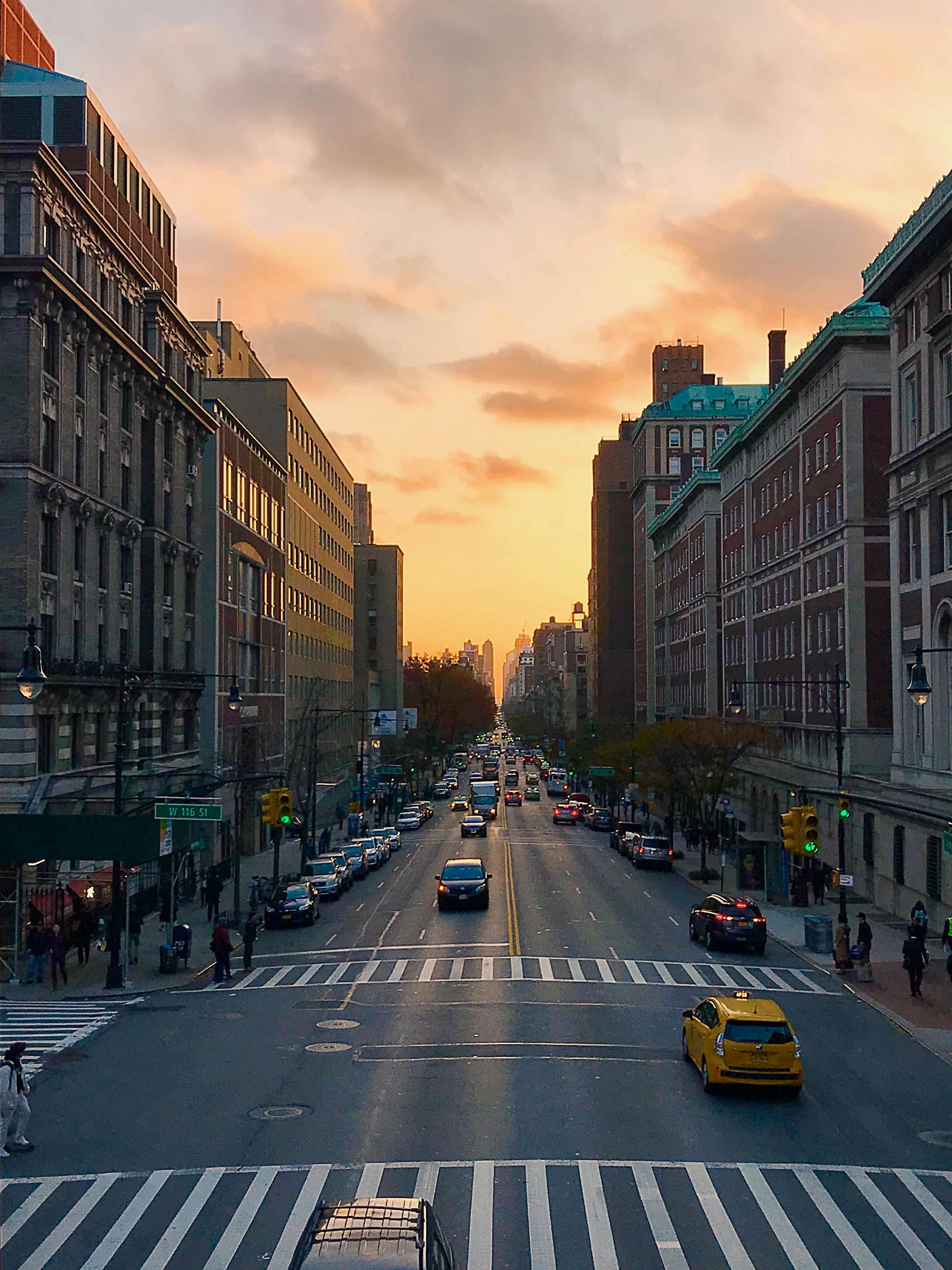 Afternoon at Columbia University